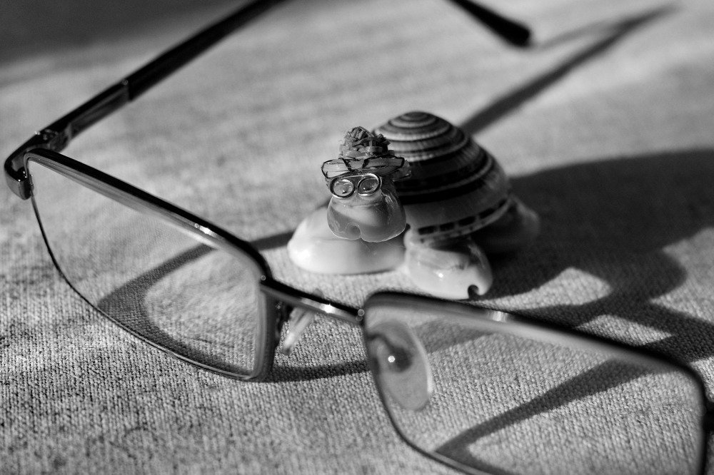 Photograph by Alexandr Bushmelev