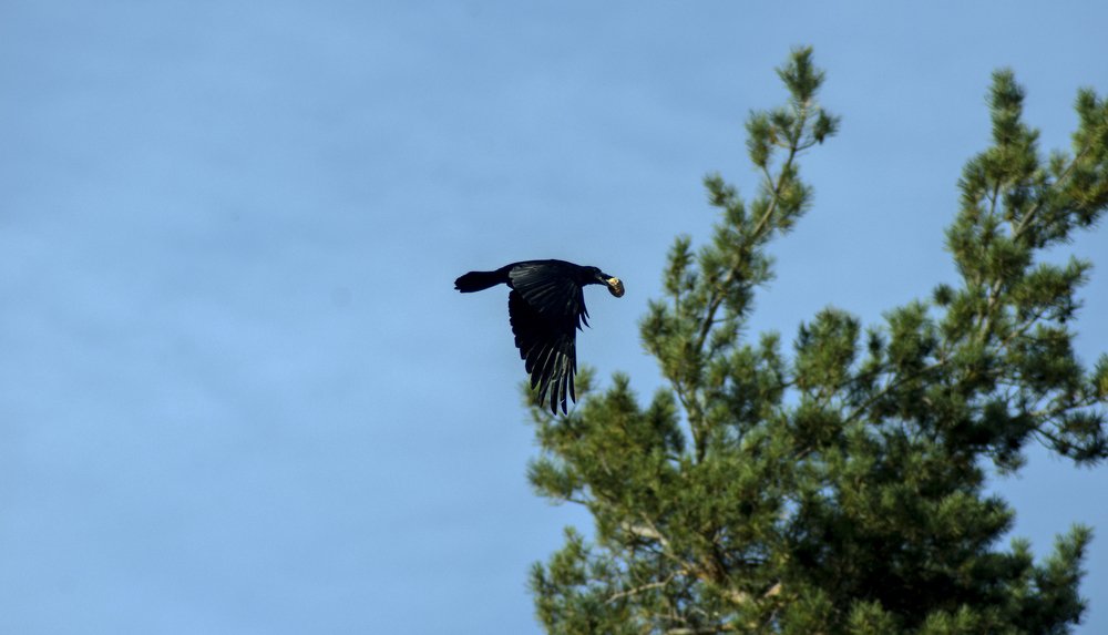 Photograph by Константин