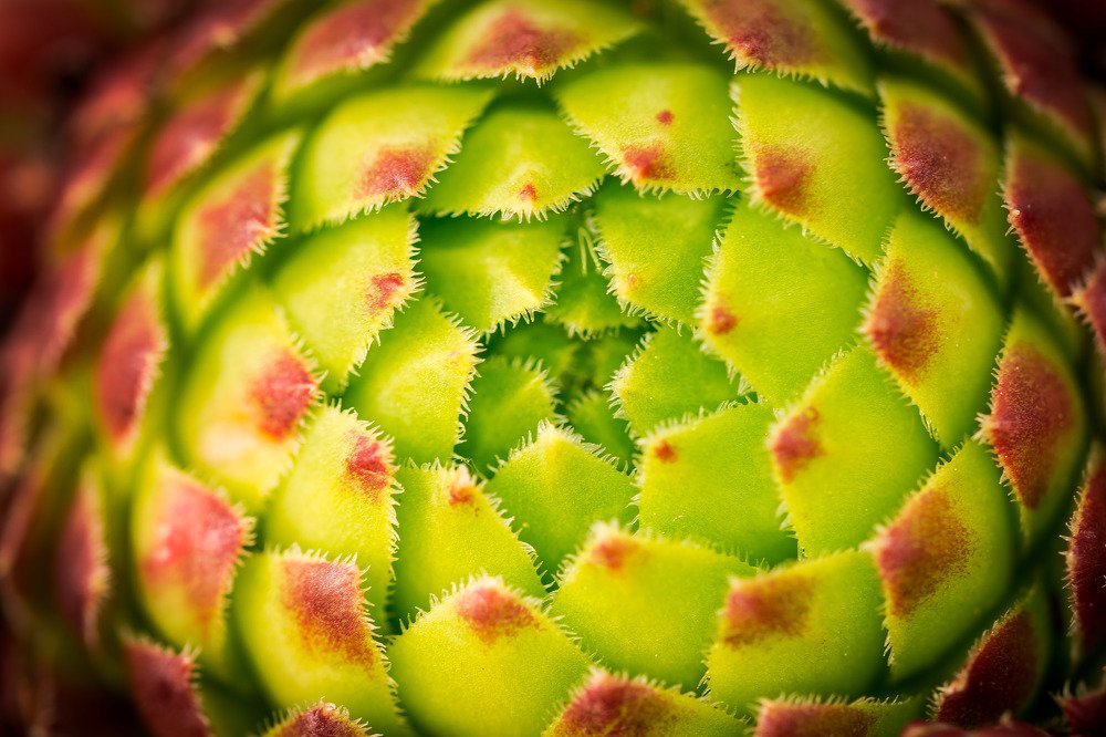 Photograph by Denis Timchenko