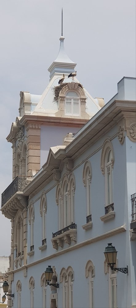 Photograph by Анна Сорокопуд