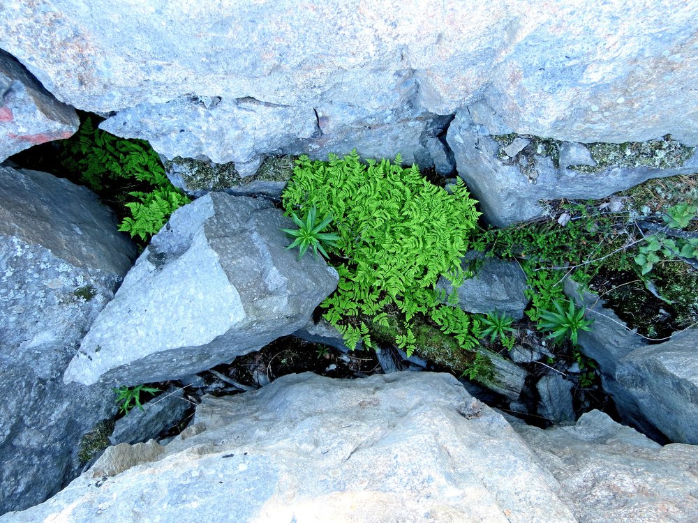 Photograph by Илья Сандлер