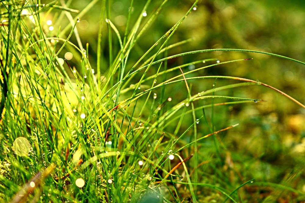 Photograph by Илья Сандлер