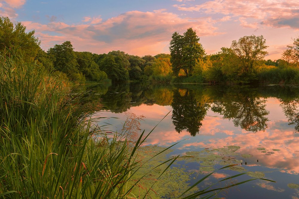 Photograph by Оксана Ильченко