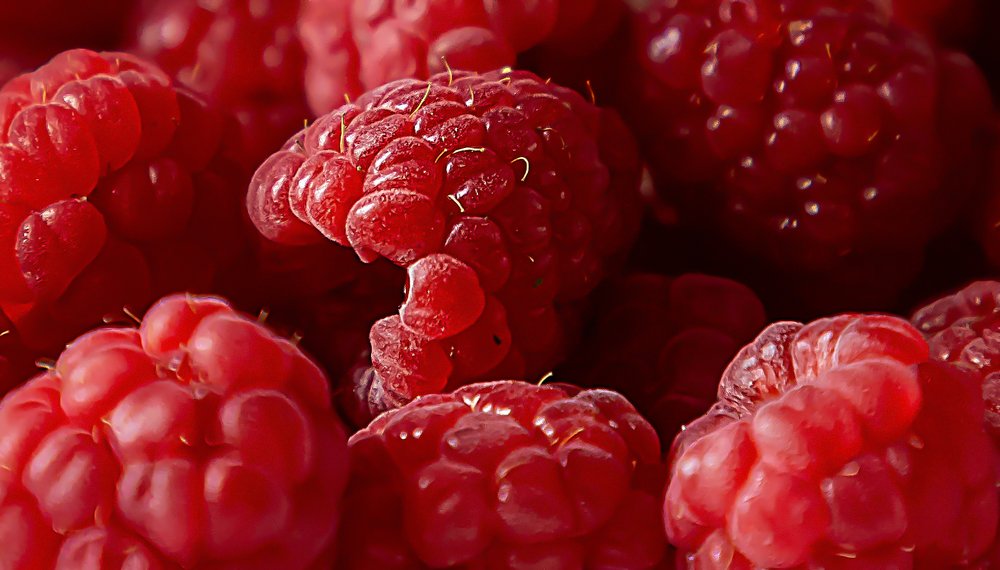 Photograph by Elena Gebert