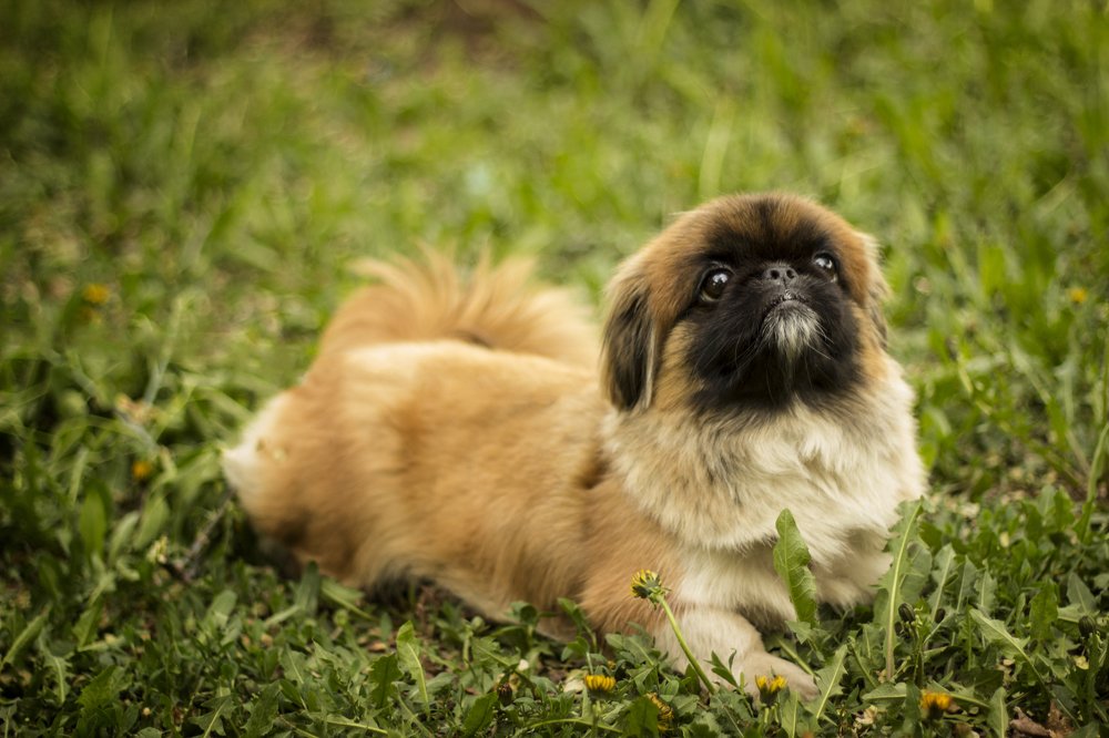 Photograph by Надежда Парыгина