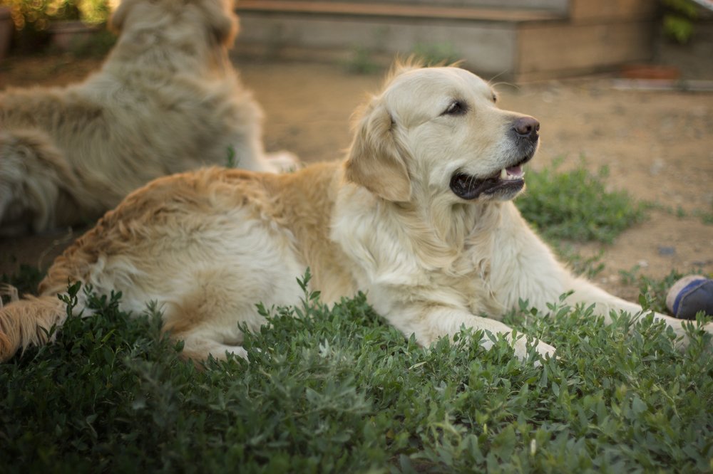 Photograph by Надежда Парыгина