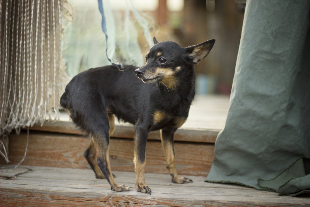 Photograph by Надежда Парыгина