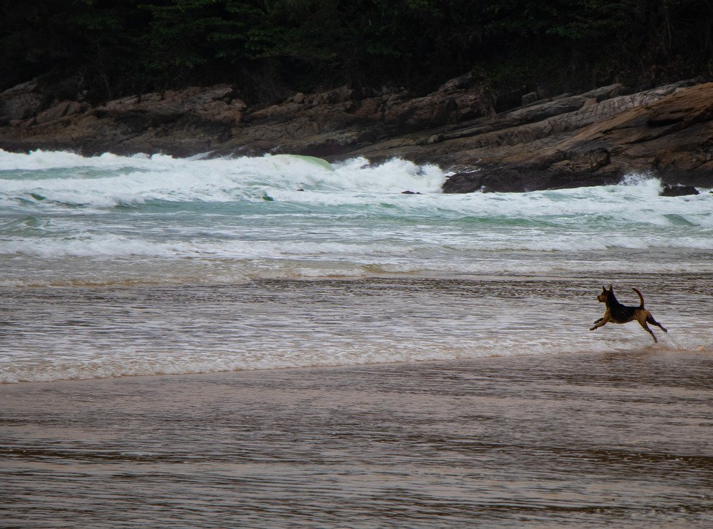 Photograph by Денис Осеев