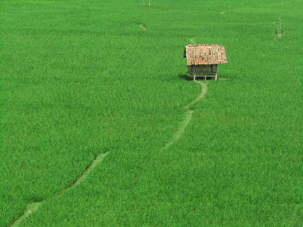 Photograph by Aep Saepudin