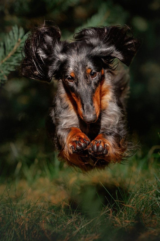 Фотография автора Оксана Серова