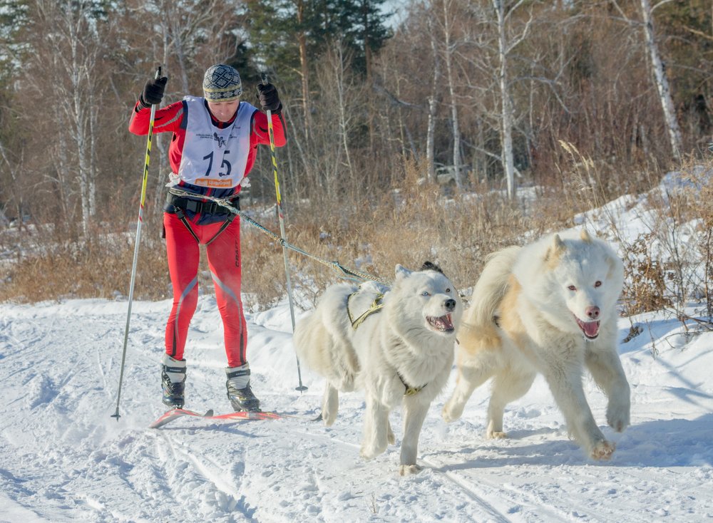 Photograph by Алексей Закиров