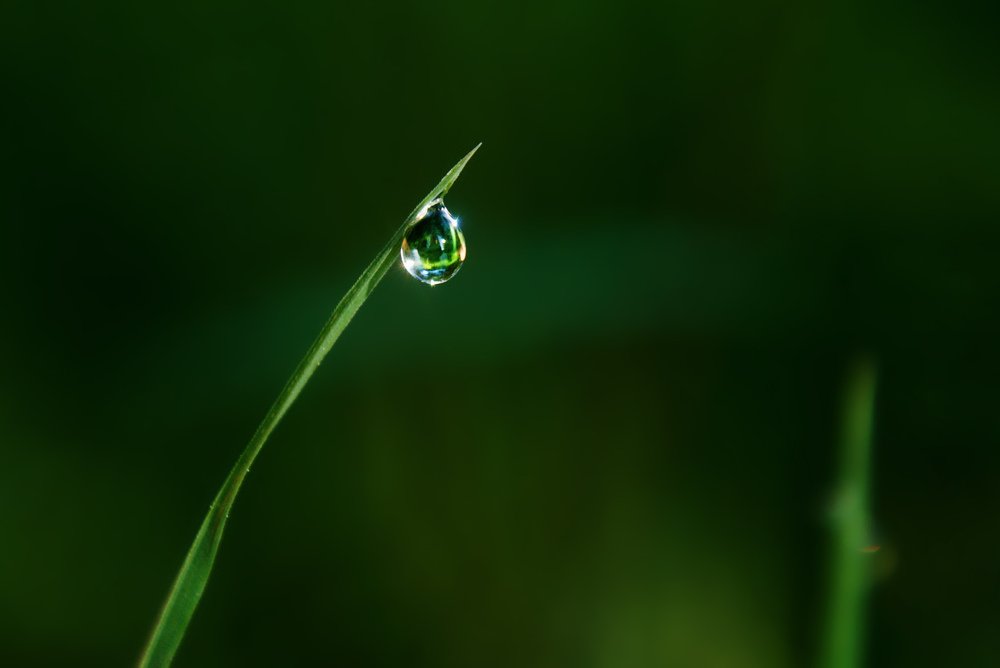 Photograph by Ольга Буракова