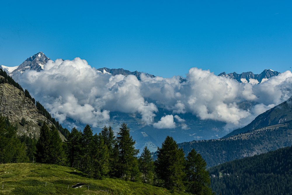 Photograph by Наталия Березина