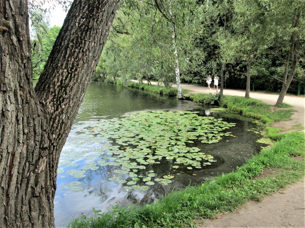 Photograph by Станислав Третьяков