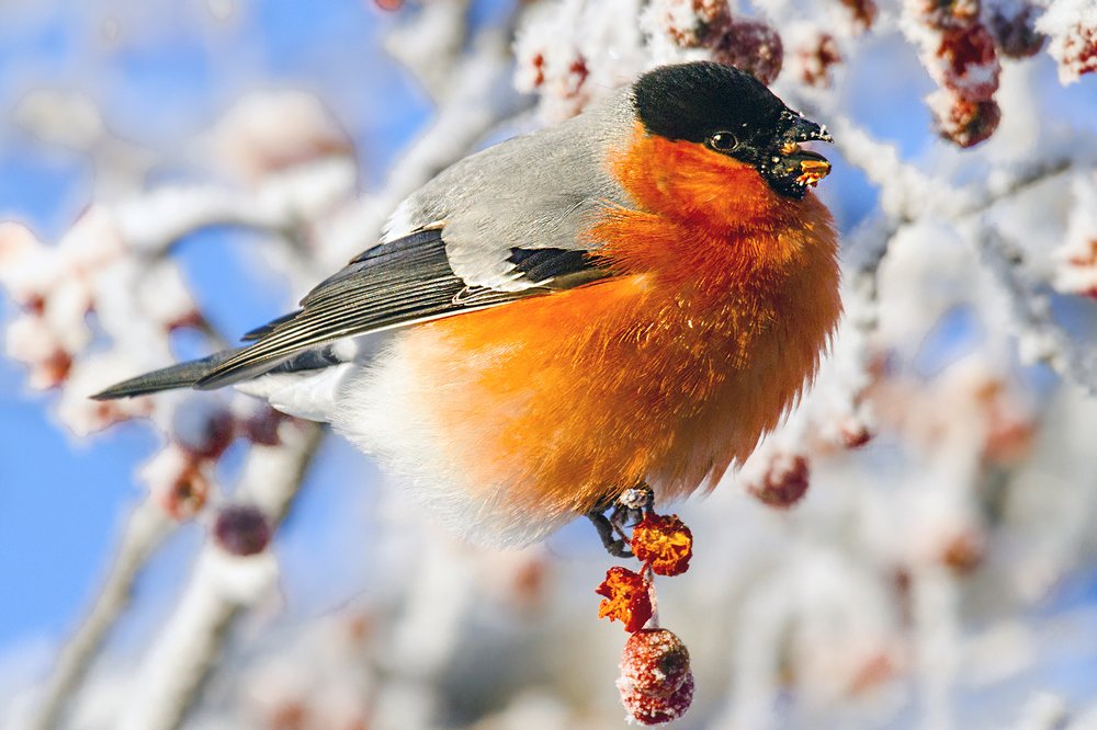 Photograph by Сергей Черных