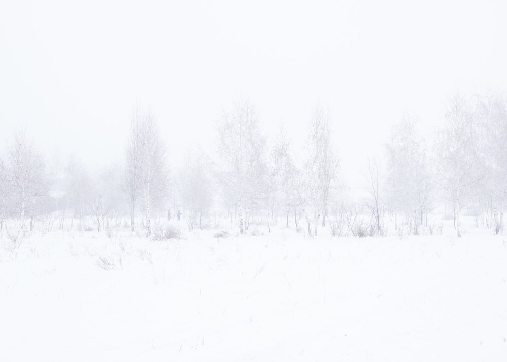 Photograph by Елена