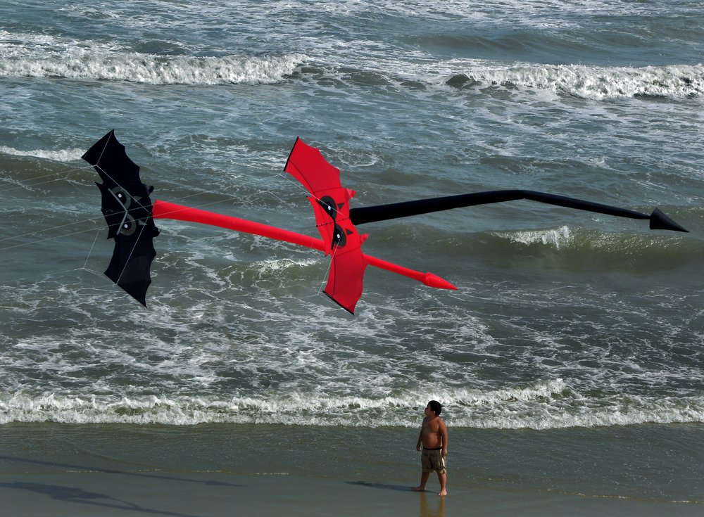 Фотография автора MINH GIẢNG PHẠM