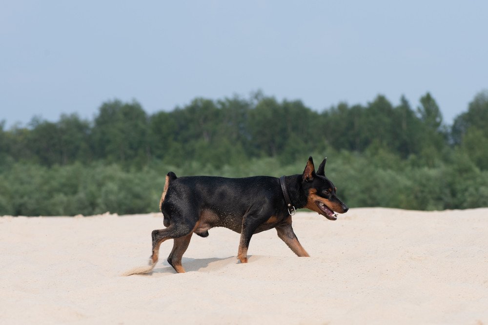 Photograph by Кадырова Марина