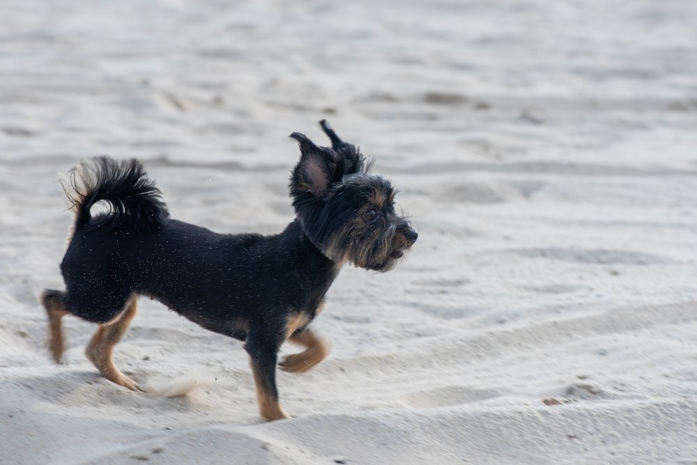 Photograph by Кадырова Марина