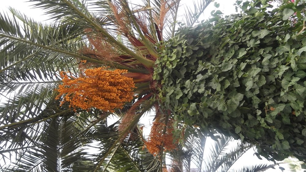 Photograph by Валентина Березина