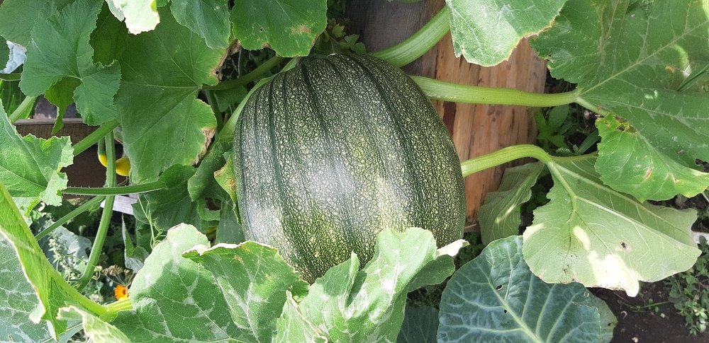 Photograph by Валентина Березина