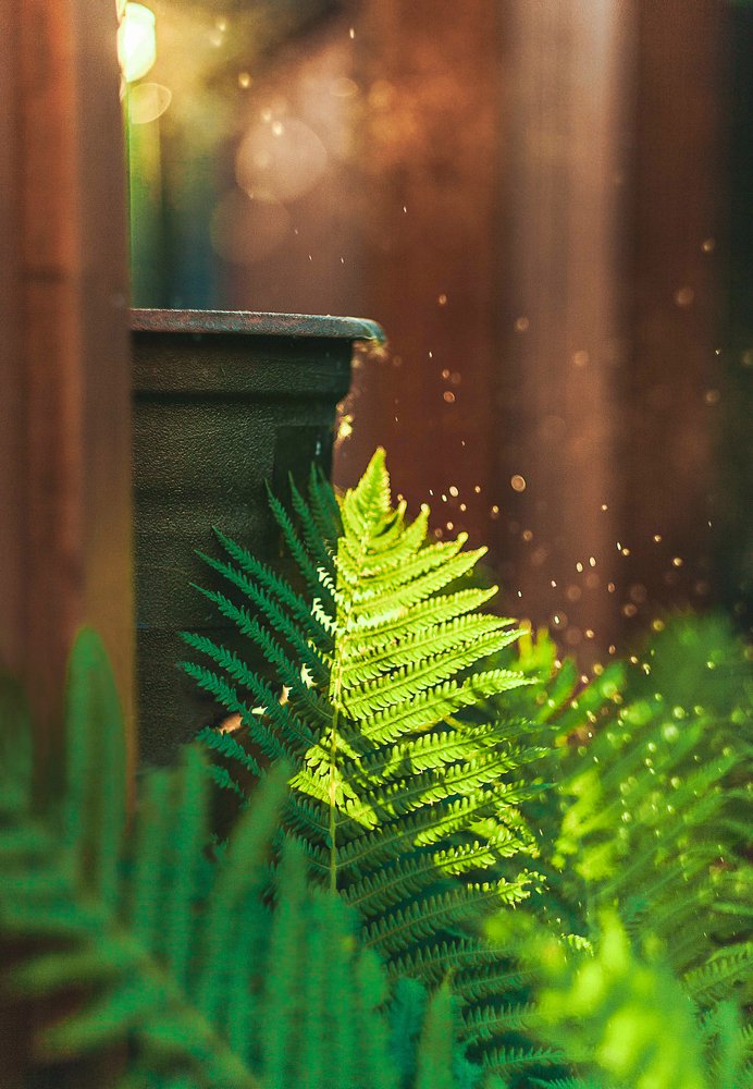 Photograph by Светлана Кавказская