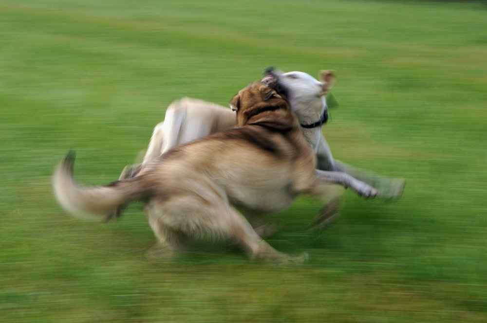 Photograph by Ольга Аристова