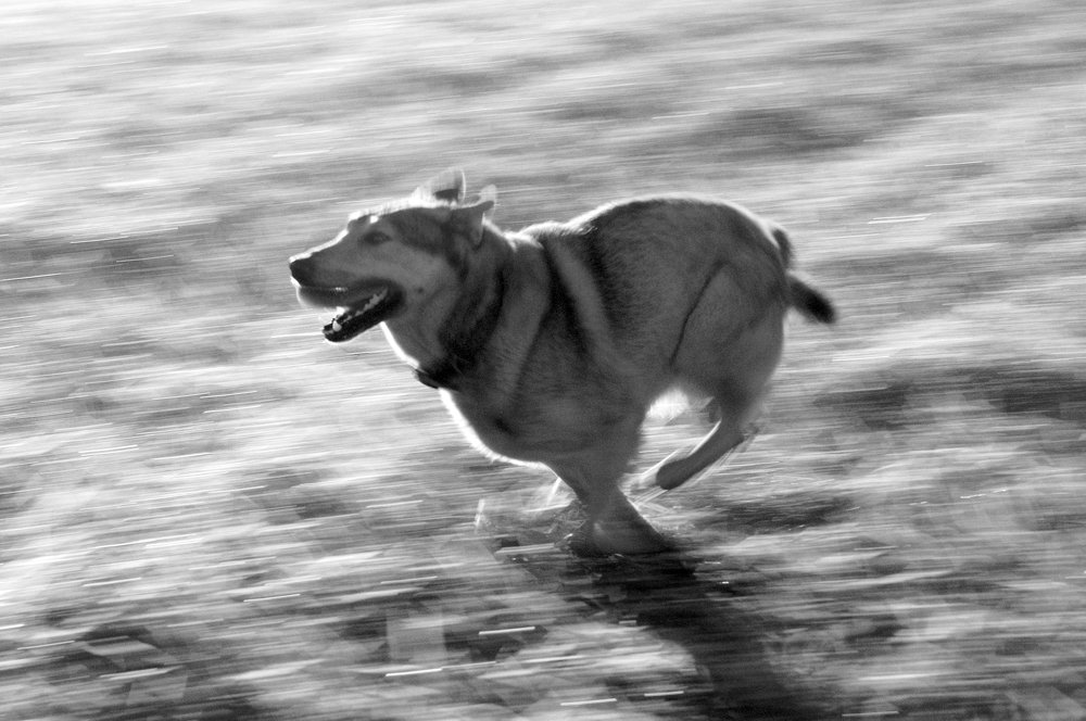 Photograph by Ольга Аристова