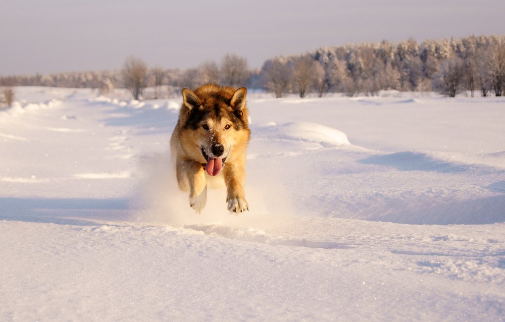 Photograph by Ольга Аристова