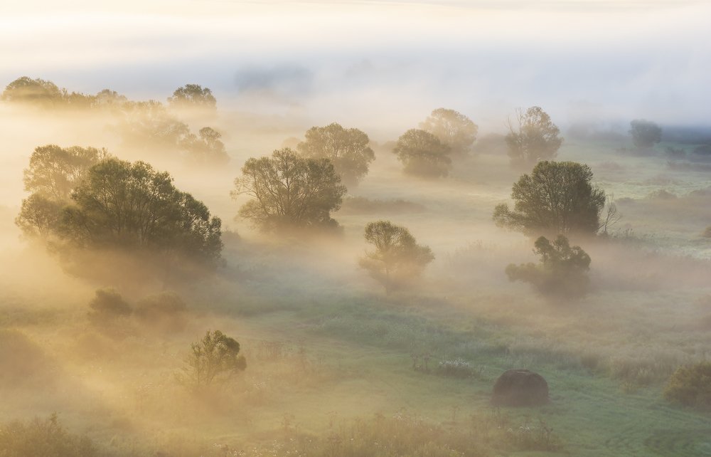 Photograph by Дмитрий Новоселов
