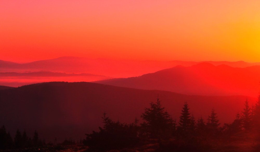 Photograph by Валерий Козуб