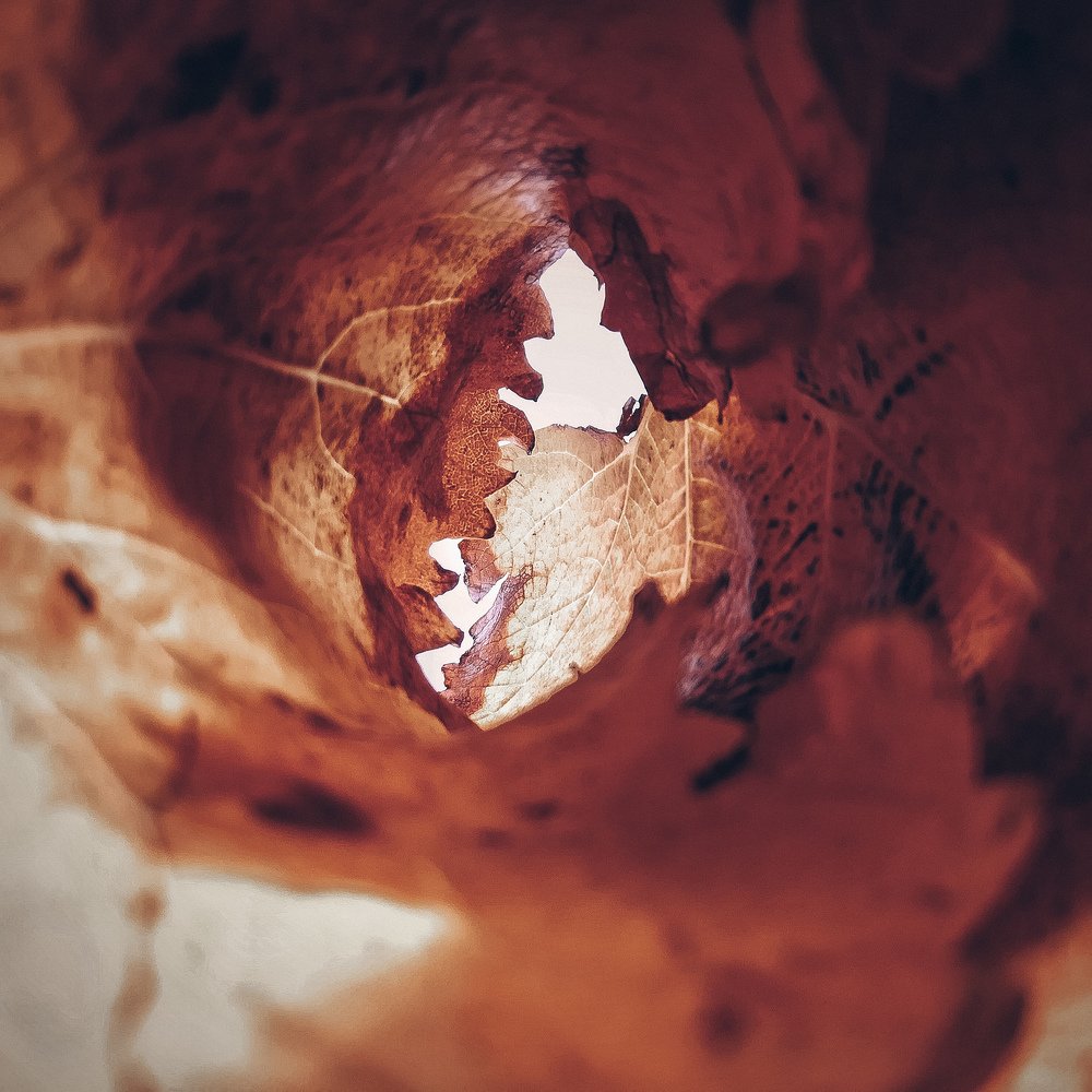 Photograph by Mazen Abdennadher