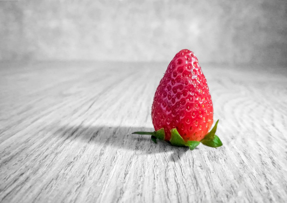 Photograph by Mazen Abdennadher