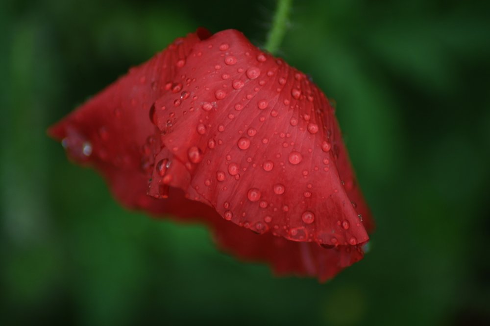 Photograph by Екатерина Абросова