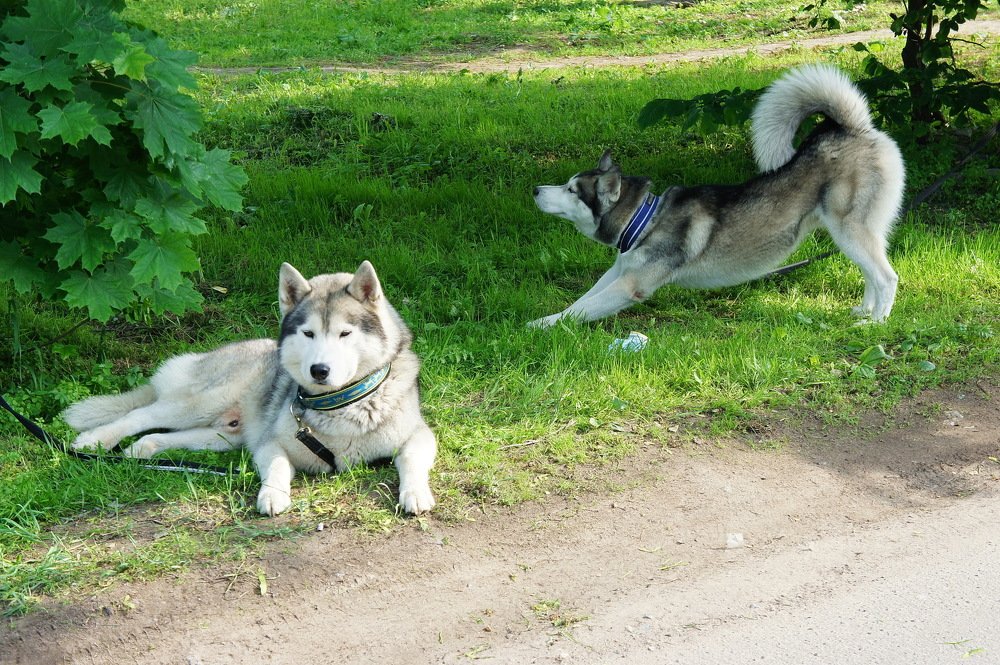Photograph by Евгений Устинов