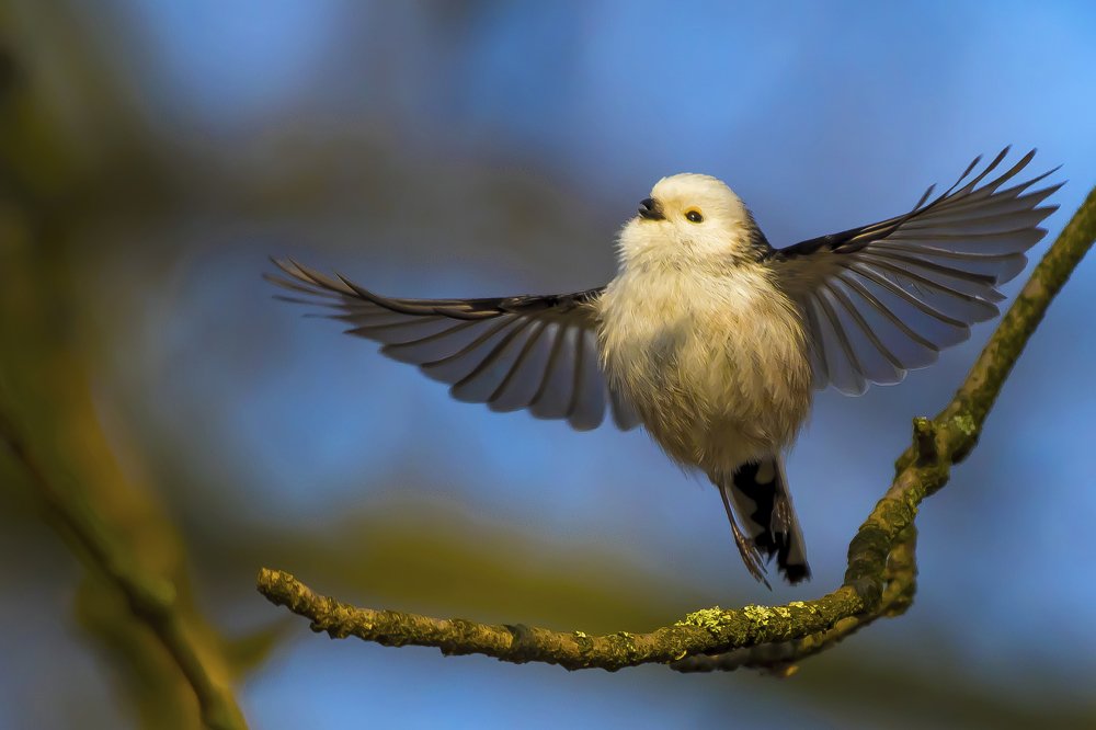 Photograph by Krzysztof Kozlowski