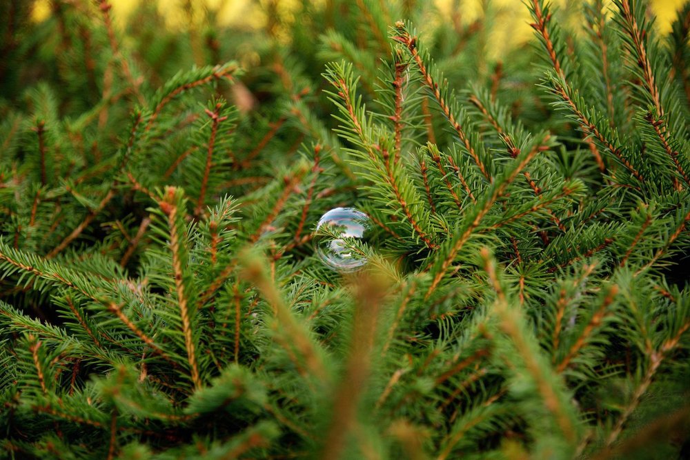 Photograph by Оксана Астрова