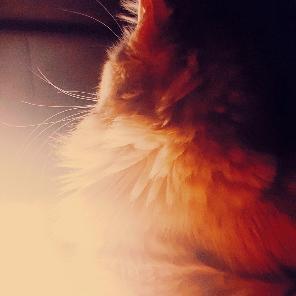 Photograph by Елена Руснак