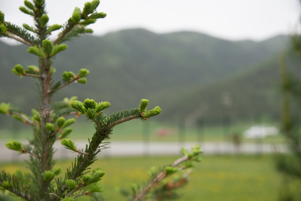 Photograph by Julia Nemolyakina