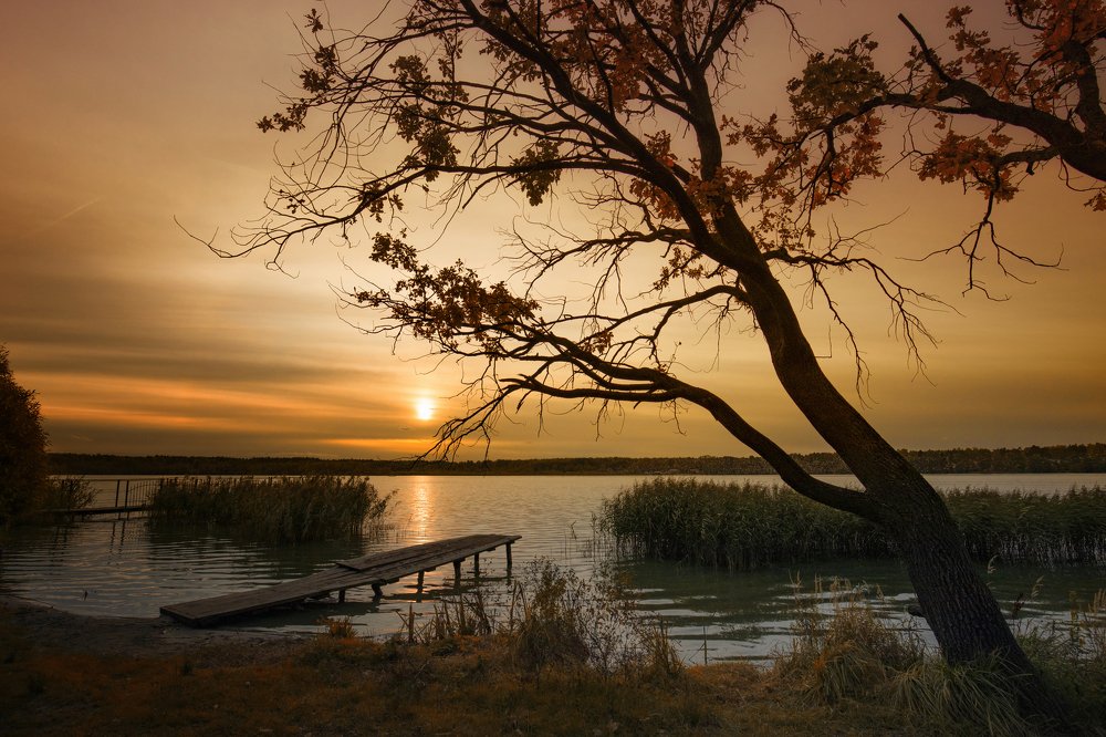 Вечер на озере