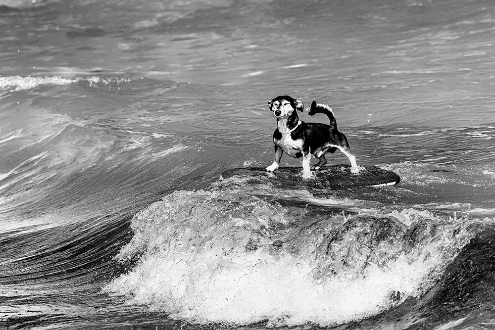 Photograph by Игорь Антипов