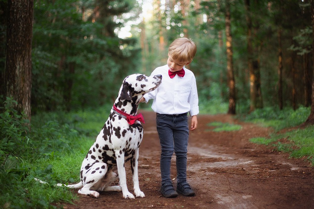 Photograph by Мария Апреликова