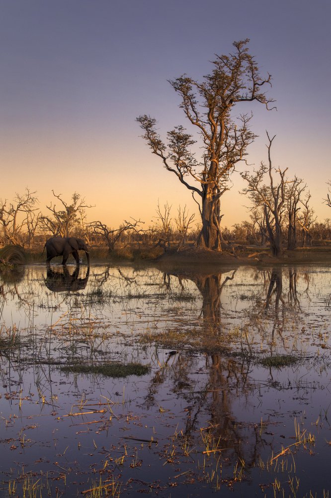 Photograph by THEODORE MATTAS