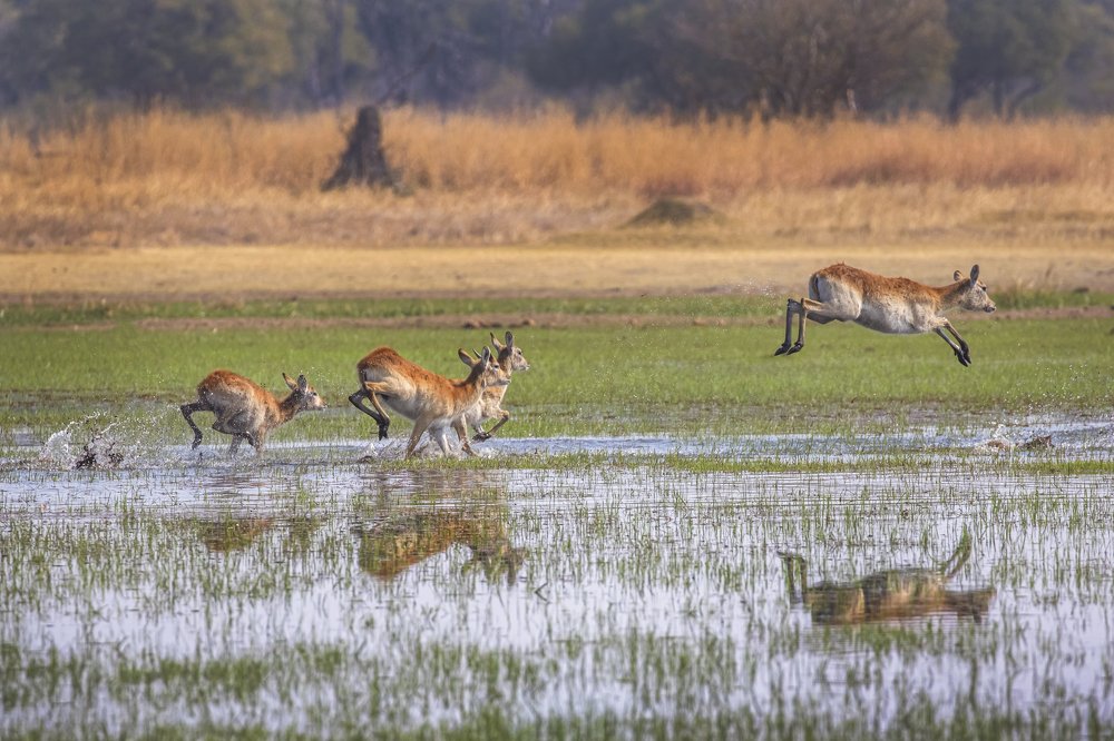 Photograph by THEODORE MATTAS