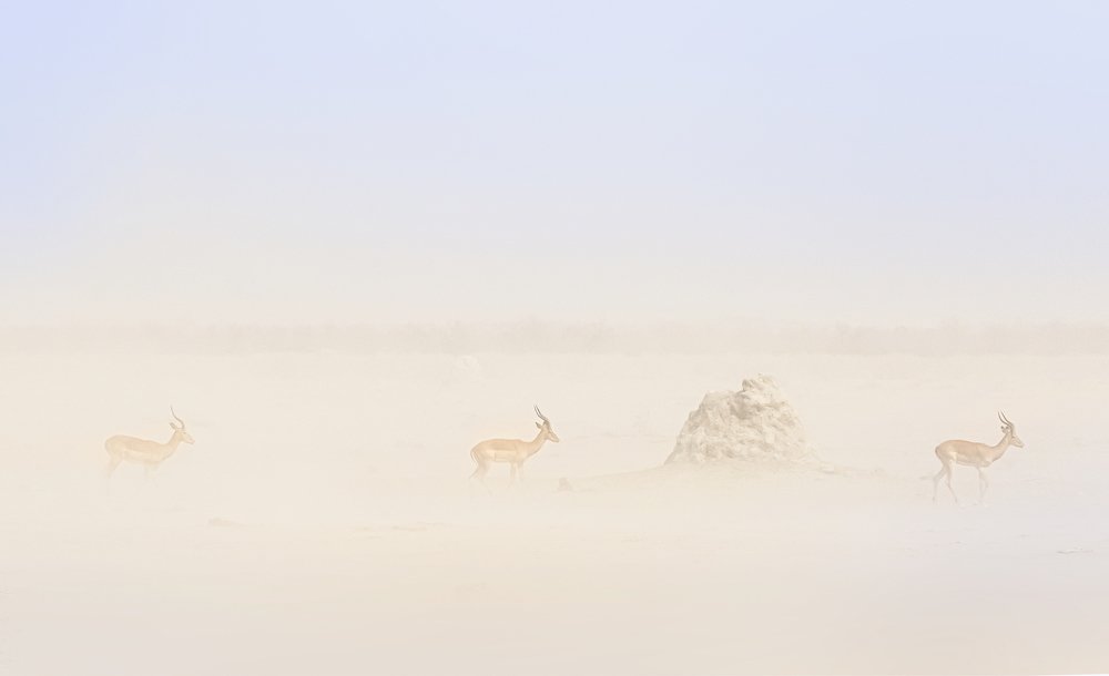 Photograph by THEODORE MATTAS