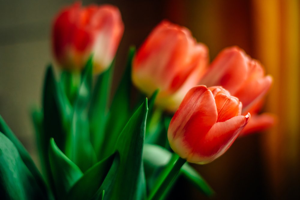 Photograph by Татьяна Мельник