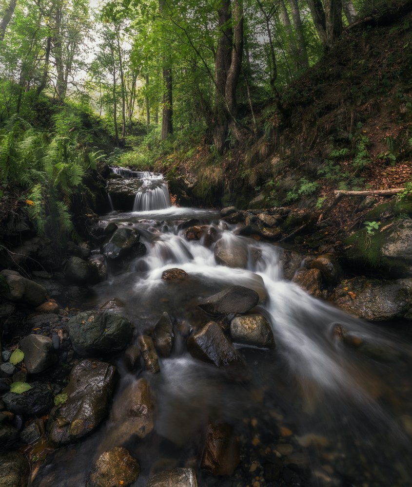 Photograph by Сергей Шабанов