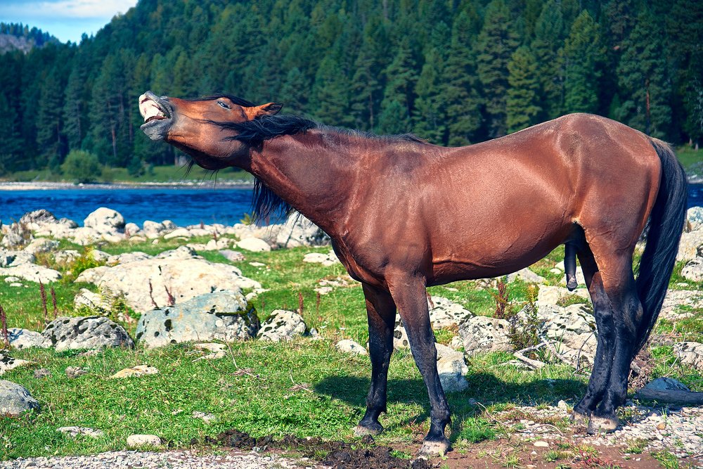 Photograph by Ольга Шибяева