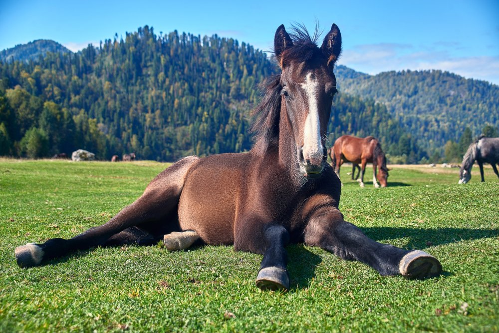 Photograph by Ольга Шибяева