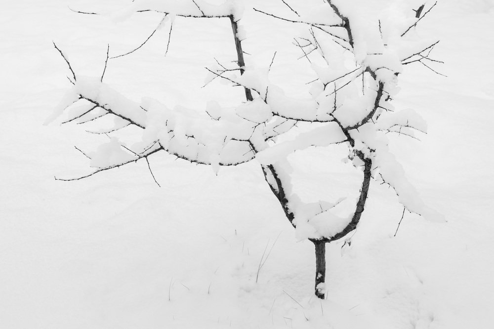 Фотография автора Mohib Ali